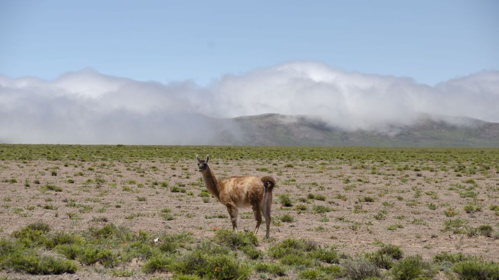 Visitar los Parques Nacionales en versión otoño