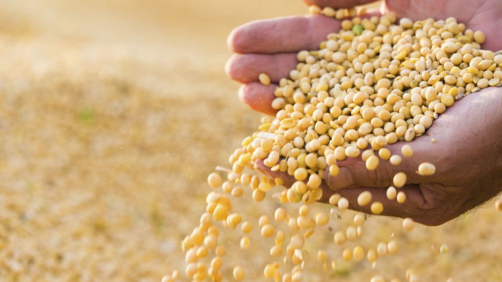 La ex Mesa de Enlace pidió la intervención del Estado en el proyecto de ley de semillas