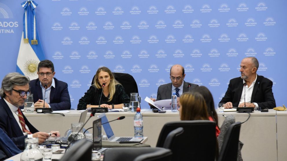 El proyecto debe pasar por la comisión de Presupuesto que preside José Luis Espert: "Hay que decirle que no puede hacer lo que se le cante"