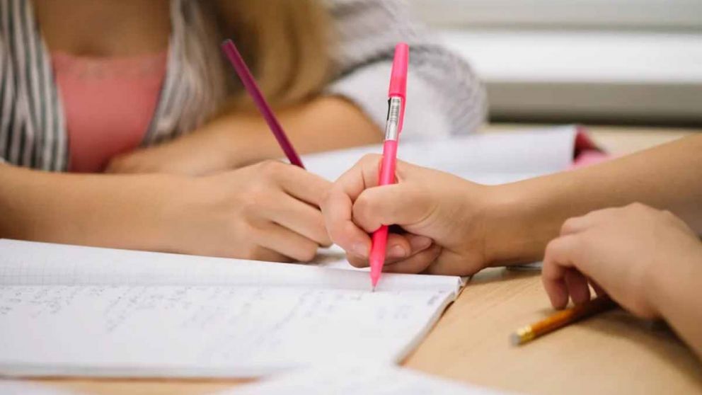 Ayuda escolar, c�mo solicitar la asistencia del Gobierno porte�o