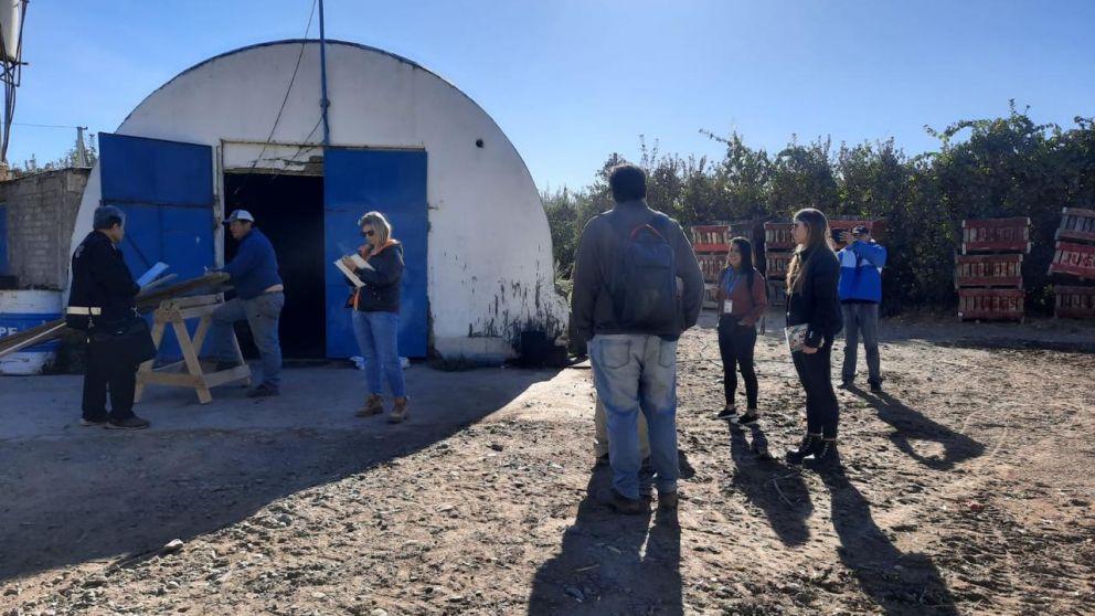 Operativo de la AFIP en un campo de Neuquén desarticuló trata laboral de 15 trabajadores