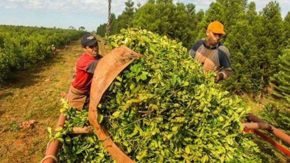 El primer bimestre cerró con un incremento del 6,2% en la cantidad elaborada