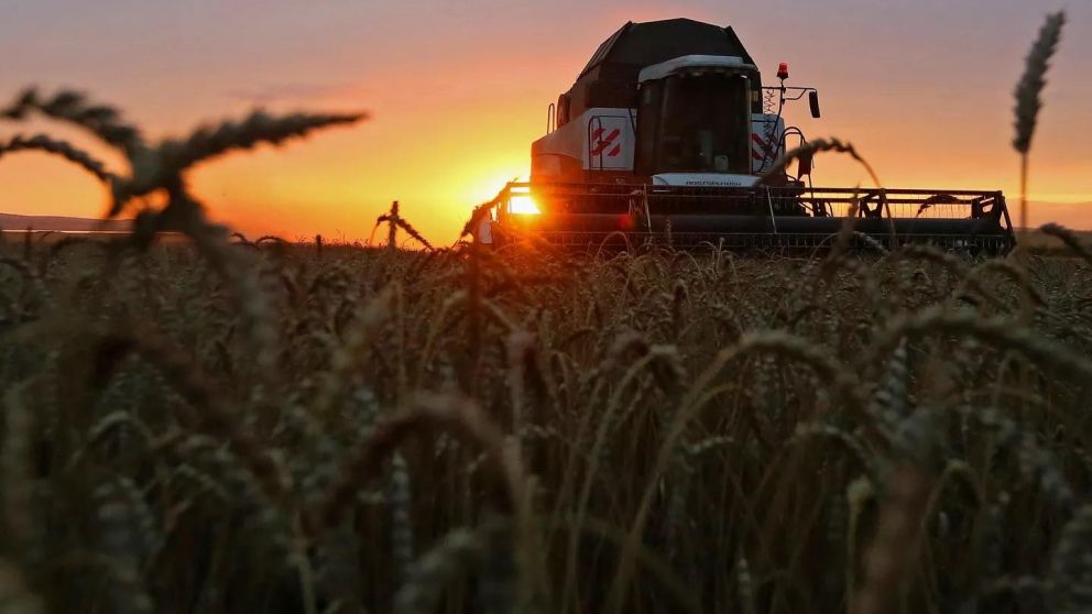 Avanza propuesta rusa para crear una bolsa de cereales de los BRICS