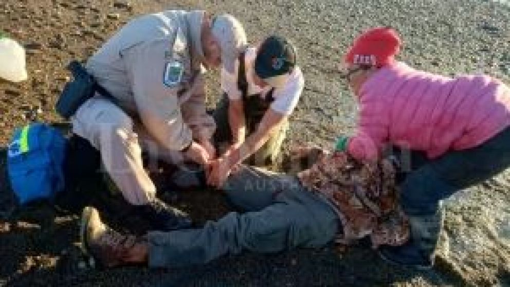 El guardapesca recibió un fuerte golpe en la pierna que le astilló hasta los huesos, por lo que debió ser amputada en la hospital. Pescadores recolectaban moluscos en Punta Loyola y cuando fueron a retirar la embarcación ocurrió el trágico accidente.