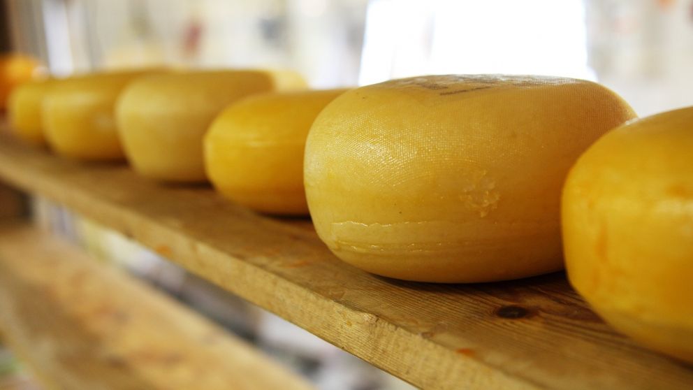 Día del queso: datos curiosos de una delicia milenaria