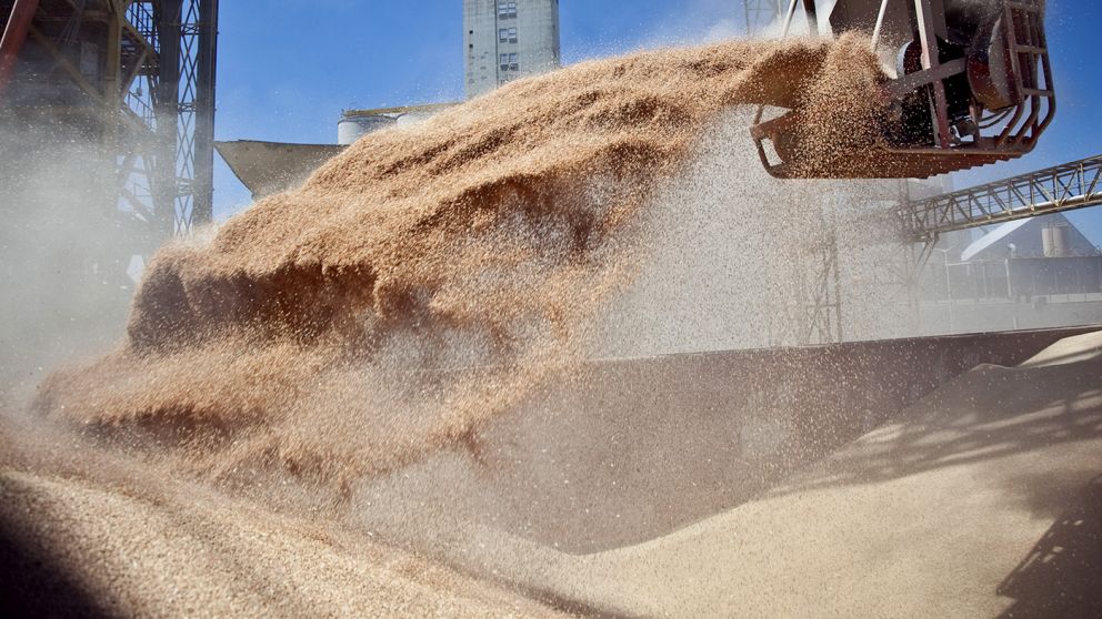 El Gobierno aspira a duplicar las exportaciones del agro para eliminar retenciones