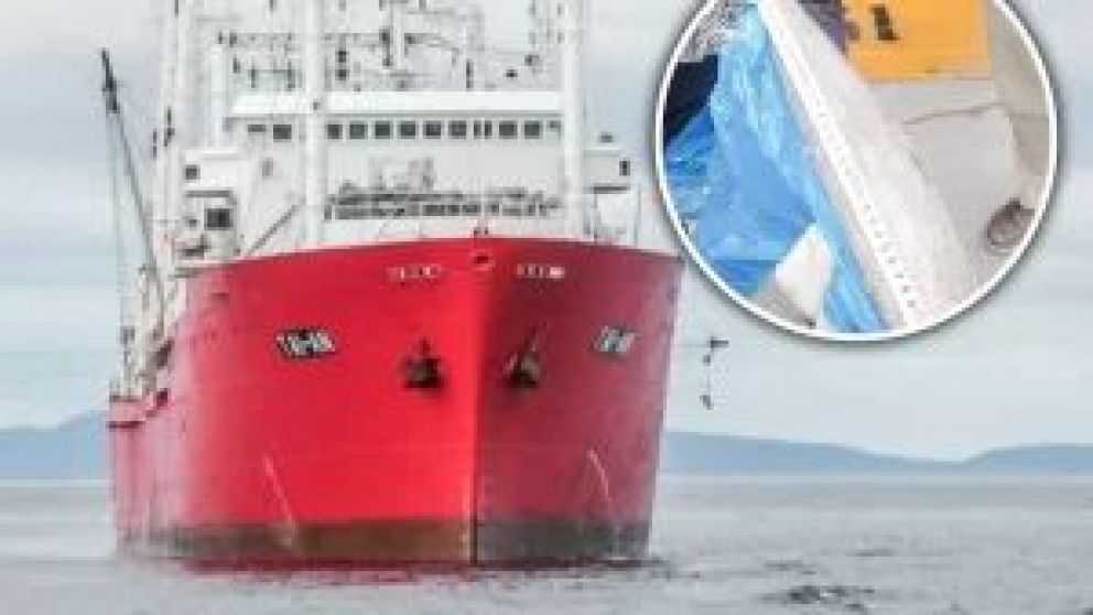 El caso del buque Tai An, denunciado por pescar de manera ilegal 163 toneladas de merluza negra, una especie protegida en todo el mundo, continúa con la polémica. Inspectores descubrieron que el contenido de la carga del barco y aseguraron que se trata d