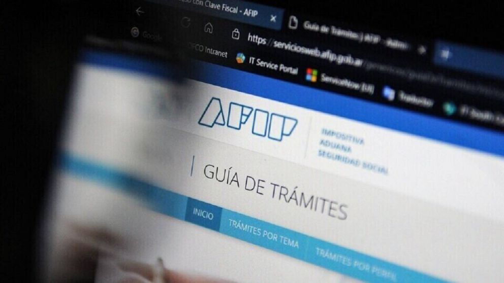 Acceso a aportes en línea de AFIP
