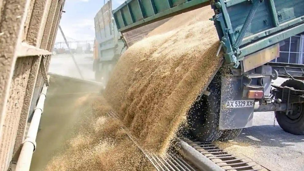 Sigue bajando el precio mundial de los alimentos según la ONU