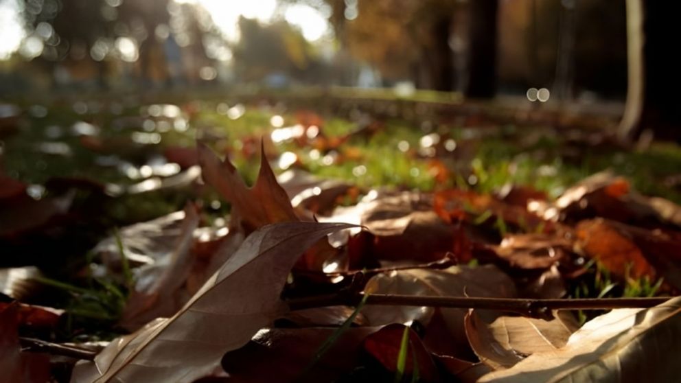 Se espera un otoño lluvioso