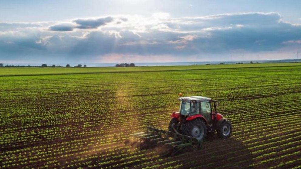 Menos del 1% de las propiedades están en el segmento sin tope, indica el informe
