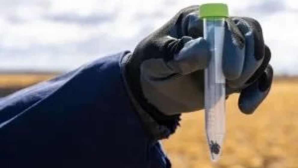 El licenciado Daniel Hermann del Instituto Malbrán dictará una charla, organizada por CGC y Fundación OSDE este viernes 15 de marzo a las 14 horas. Cómo reconocerlas, qué hacer si te pican y cómo prevenirlas.