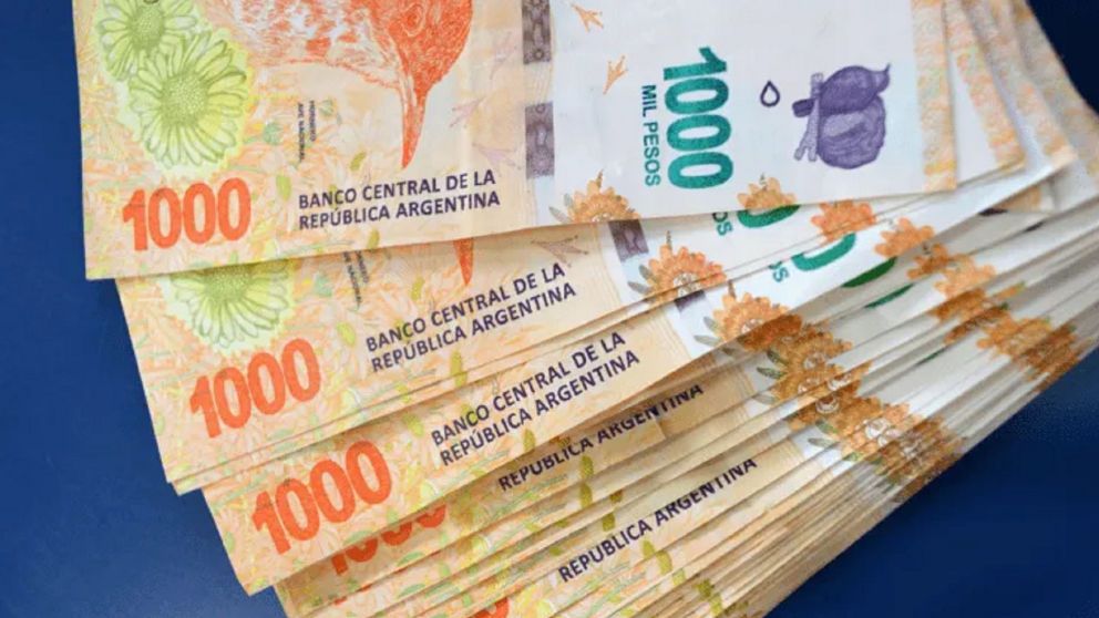 Estos son los pasos para acceder al pago del extra de $70.00 a AUH de Anses