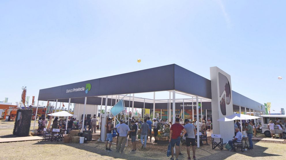 Banco Provincia concentra su oferta crediticia en Procampo Digital