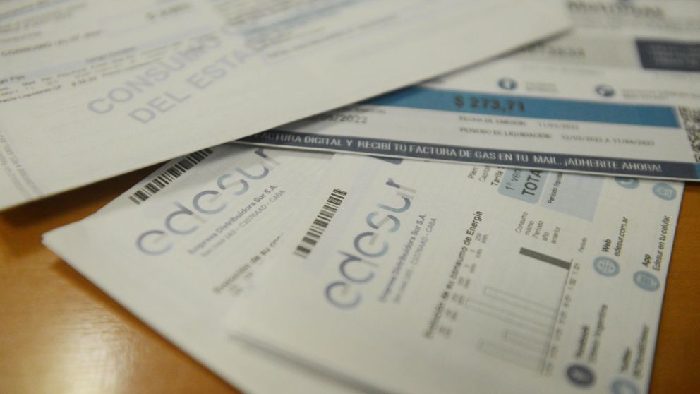 El Gobierno buscará reducir los subidios