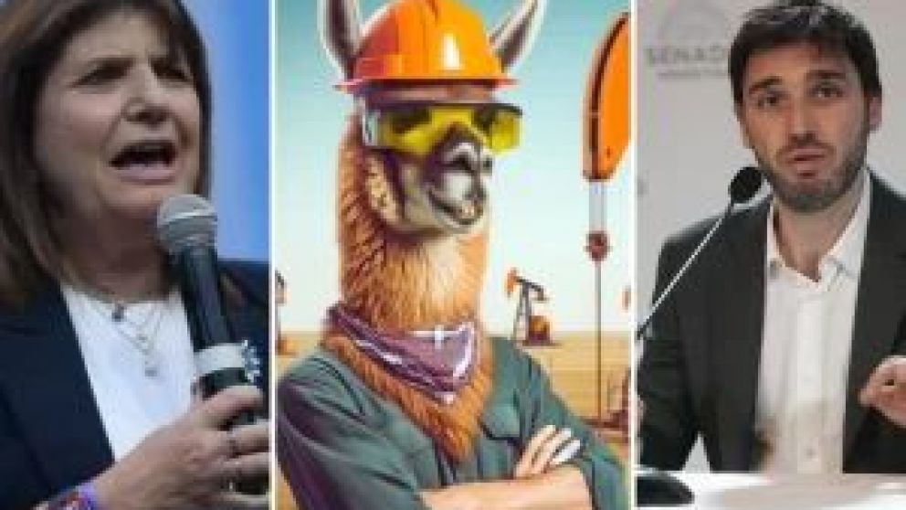 Luego de que la ministra de Seguridad de la Nación afirmara que en esa provincia "no vive nadie, solo un millón de guanacos", los chubutenses salieron a cuestionarla y llenaron las redes sociales con imágenes de los simpáticos animales.