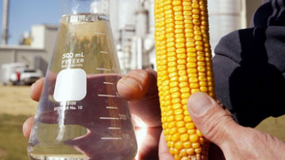 La producci�n nacional de bioetanol de ma�z creci� 10,5% en 2023