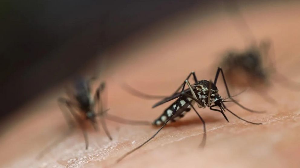 El Ministerio de Salud pidió extremar cuidados