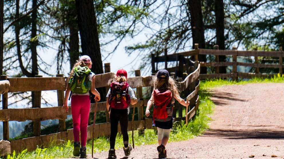 Turismo responsable: comparten tips para cuidar el Medio Ambiente