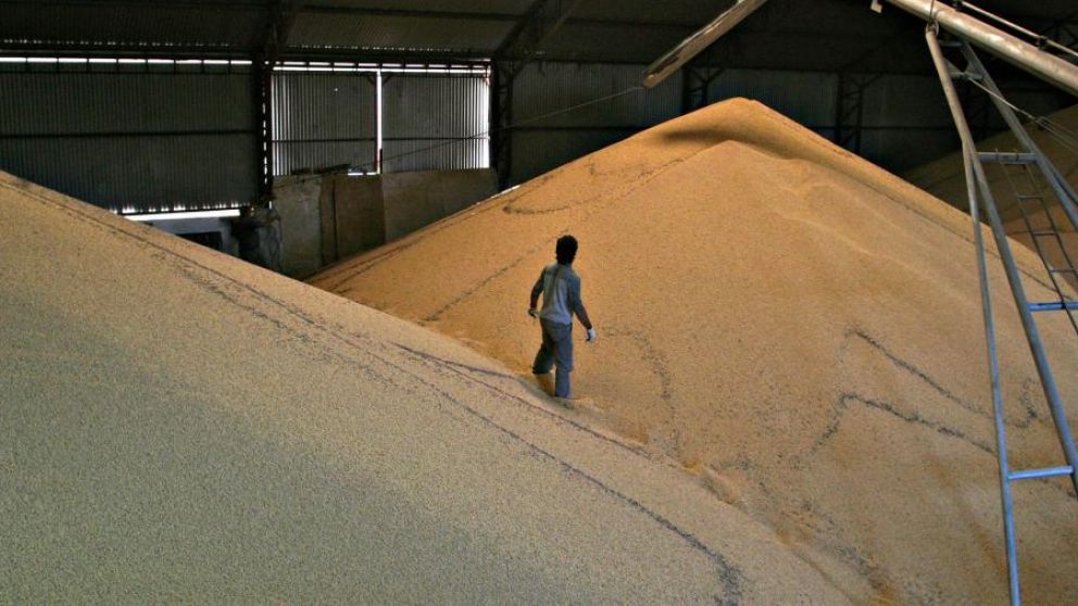 Agropecuarios ratificaron su rechazo a los derechos de exportación y esperan que bajen