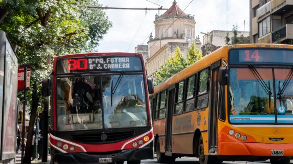Desregulación del transporte: el Gobierno quita el subsidio y afectará a los boletos provinciales