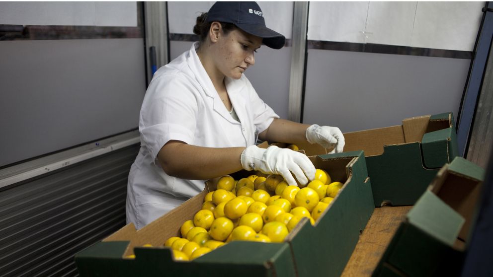 El Gobierno sigue sin abordar la demanda del sector frutícola