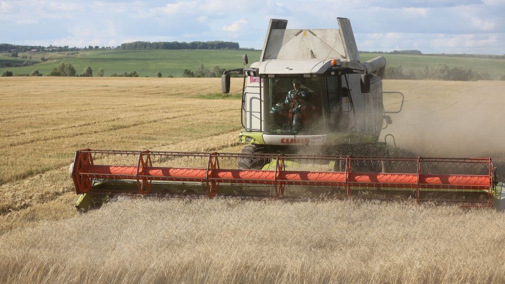El campo aportó casi el 50% del crecimiento por cosecha récord