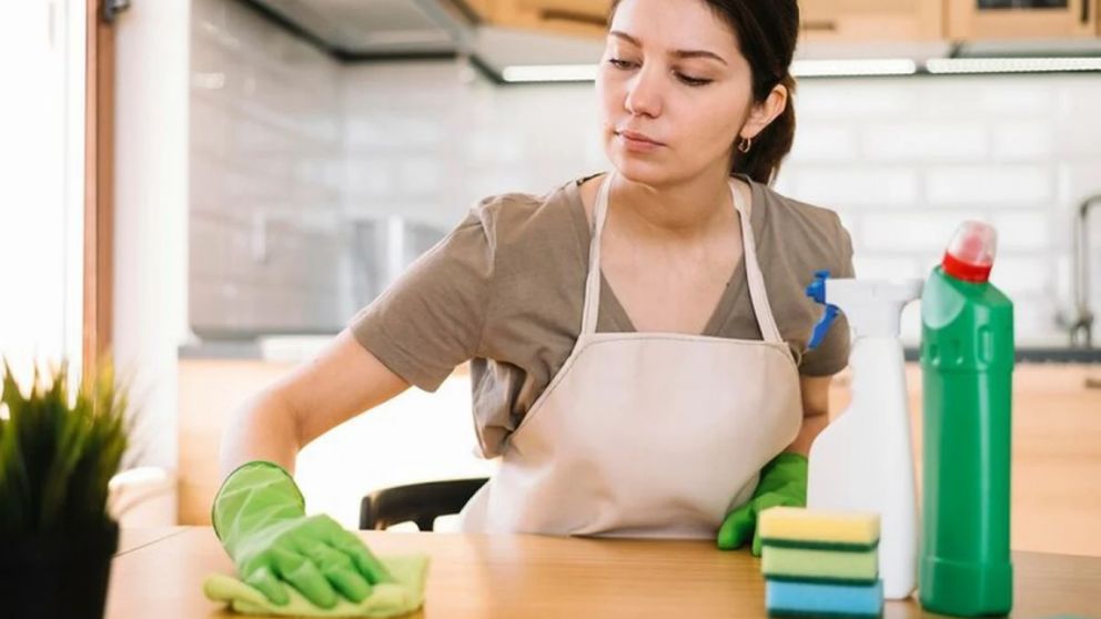 Tarifa social para empleadas domésticas