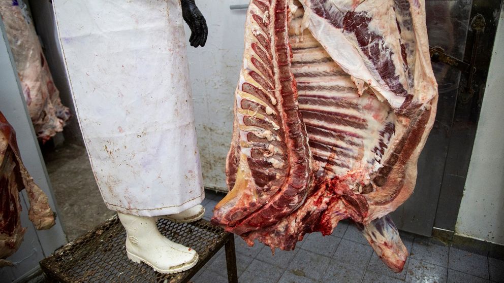 Aumento de faena en 2023 condicionará la oferta ganadera a partir del corriente ciclo