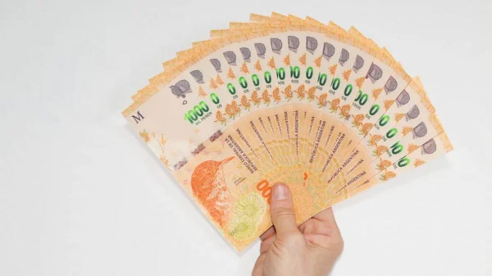 Cómo obtener el pago único para AUH