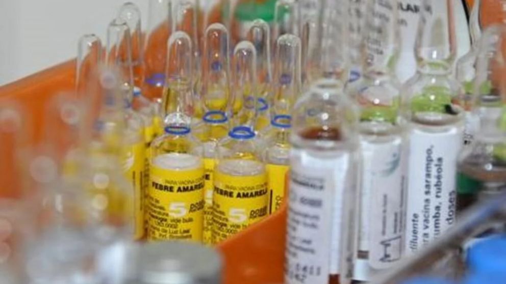 Cómo prevenir la fiebre amarilla