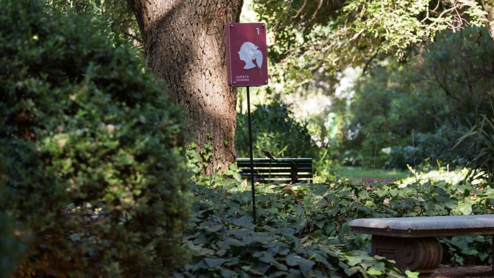 Actividades para redescubrir la naturaleza en plena ciudad