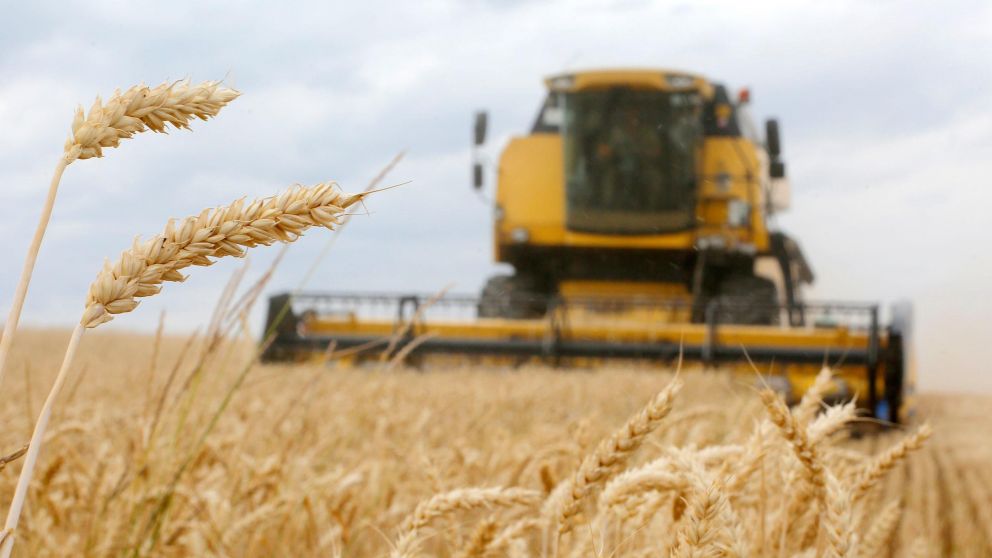 Las lluvias mejoran las proyecciones de siembra de trigo y de dólares para fin de año