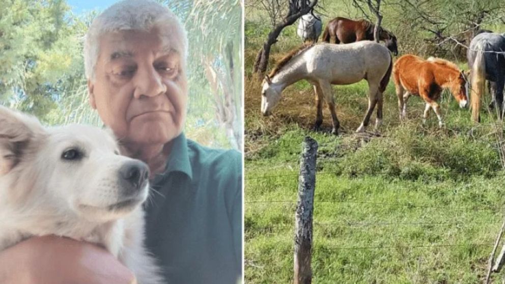 El denunciante del robo de equinos, sin respuestas