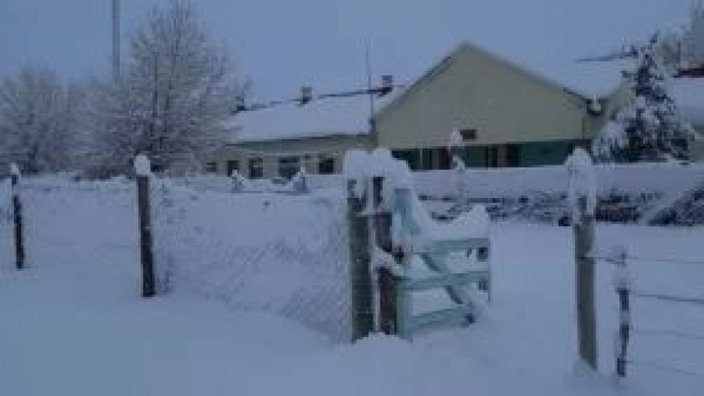 La primera redacción de la ley ómnibus quitaba el financiamiento pero la ley se mantenía. El texto final del proyecto que se trata en Diputados, directamente deroga el beneficio en las boletas de gas para todos los patagónicos. Las reacciones en las prov