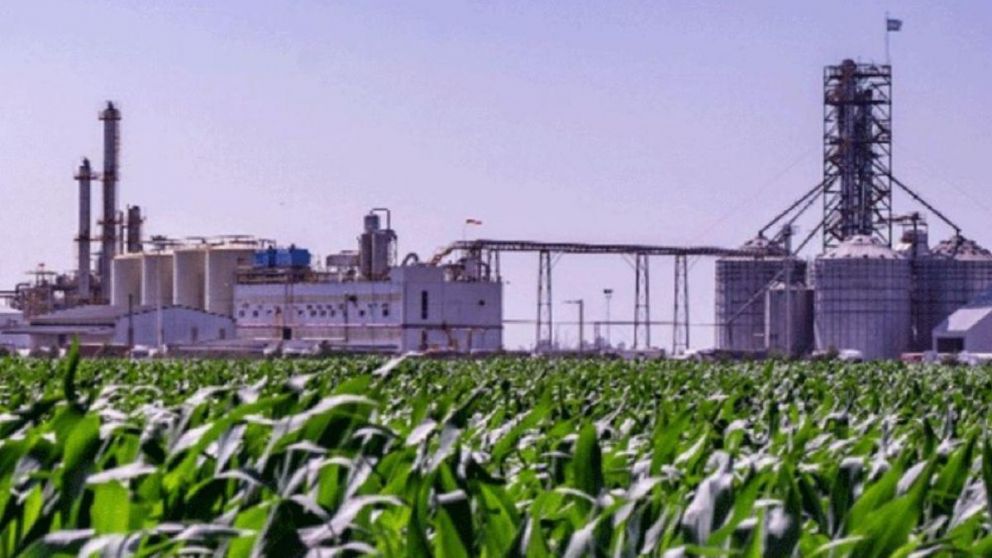 Modifican reformas propuestas para tópicos Biocombustible y Transición Energética en Ley "Bases"