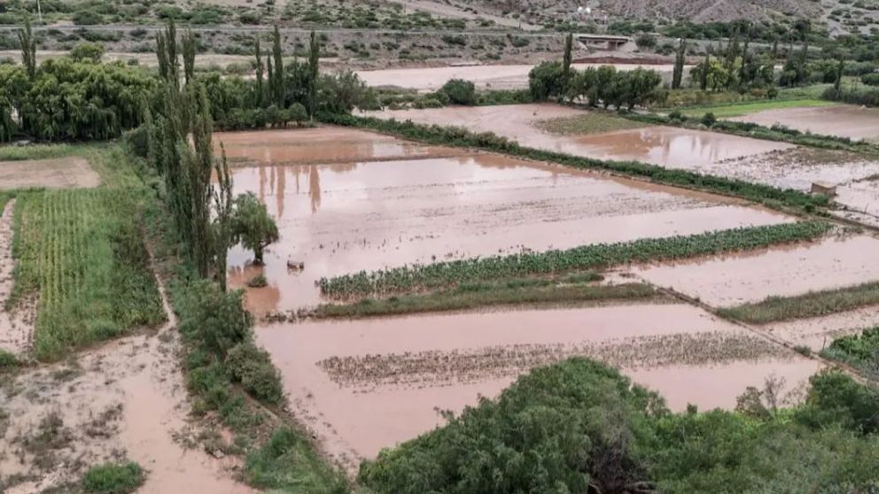Gran parte de la provincia de Jujuy se encuentra inundada