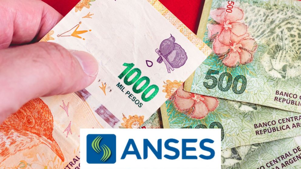 Bono de enero Anses 2024