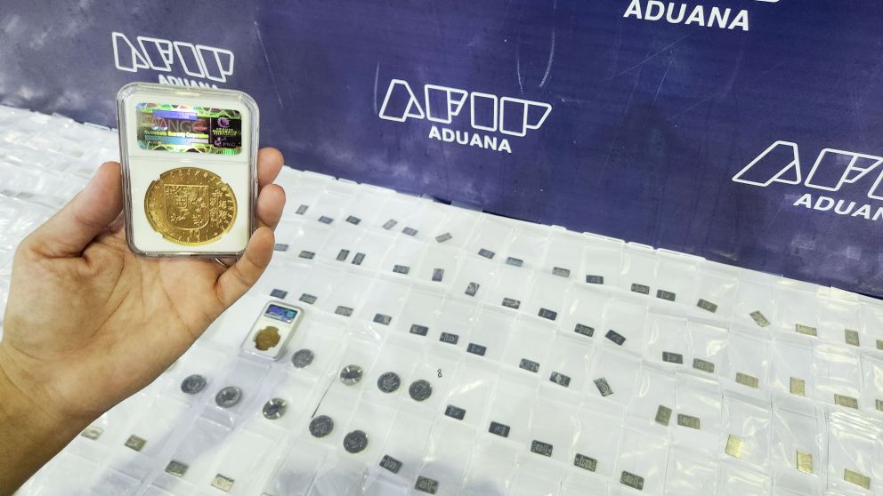 Ciudadano japonés intentó ingresar 18 monedas y 327 lingotes de platino ilegalmente por Ezeiza