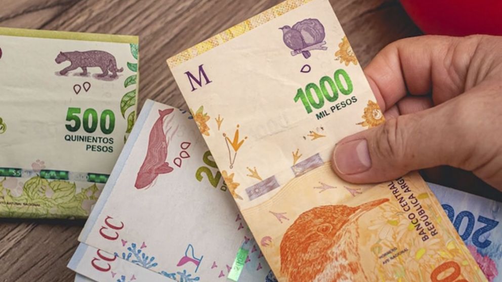 Personas sin trabajo pueden cobrar $54.000 en Anses durante septiembre