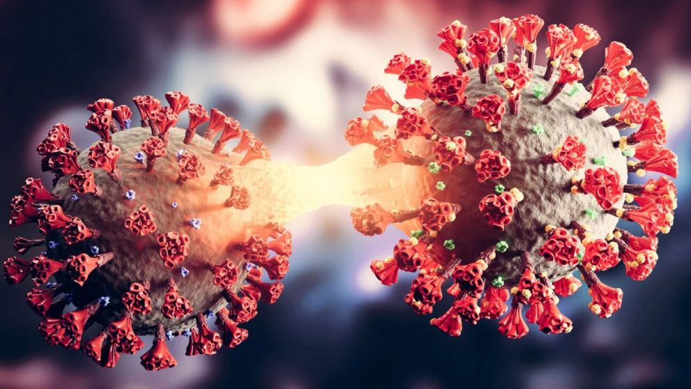 La vacuna con más efectos adversos fue AstraZeneca