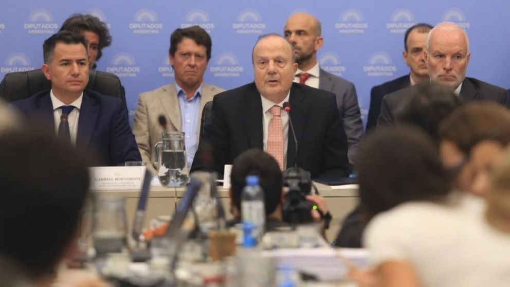 Ferraro en el plenario de Diputados