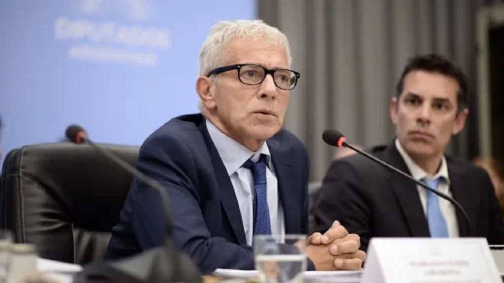 "Que sea ley por el bien de la Argentina, la justicia y la sociedad", aseguró Cúneo Libarona sobre la baja de la ley de baja de edad de imputabilidad