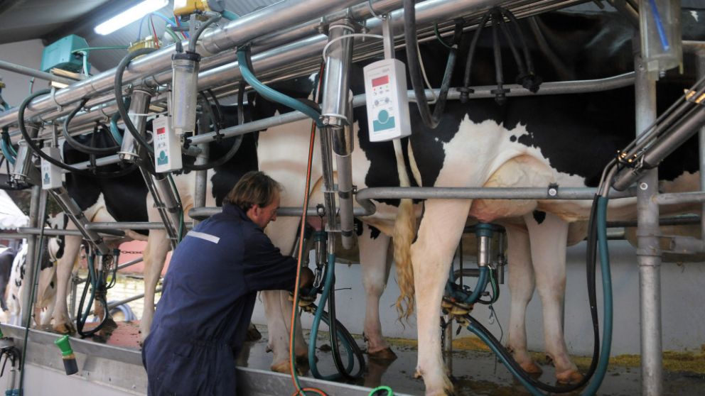 Un año malo para el sector