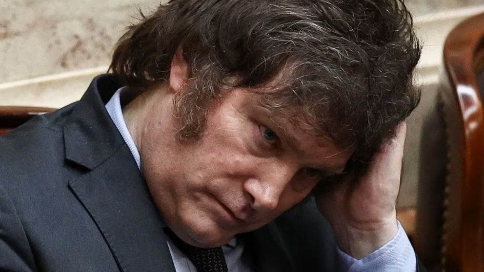 Primer rebote de Javier Milei