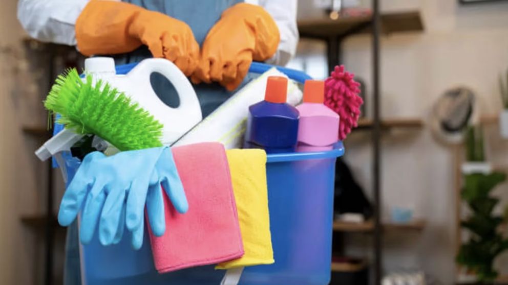 Salario empleadas domésticas