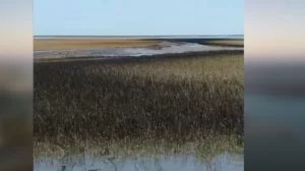 Un pescador registró en un video la fuga del crudo en el estuario de Coronel Rosales. La empresa petrolera Oiltanking explicó cómo fue la pérdida y aseguró que activó el plan de contingencia pero el intendente de Bahía Blanca denunció que este no se reali