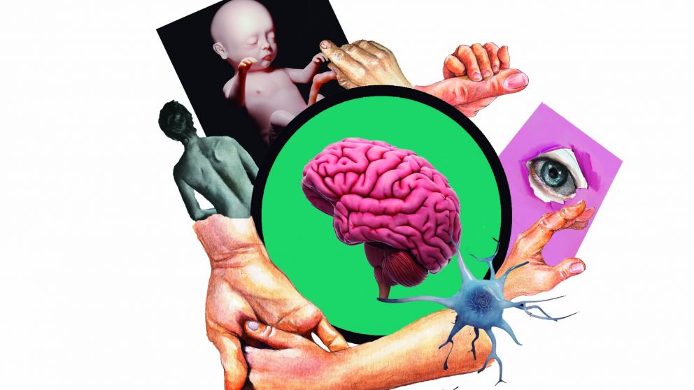 El impacto emocional de las caricias y abrazos durante las celebraciones de Fin de Año