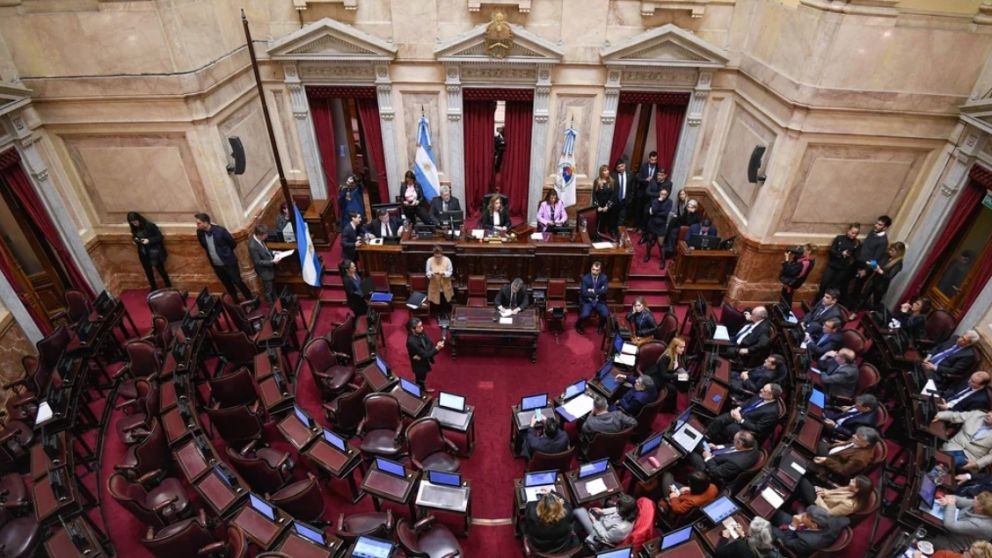 El Senado ya confirmó los miembros de la bicameral que analizará el DNU de Javier Milei