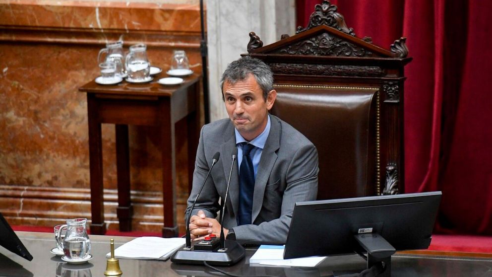 Martin Menem, presidente de la Cámara de Diputados